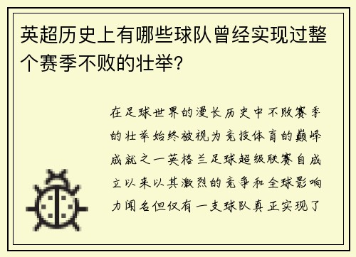 英超历史上有哪些球队曾经实现过整个赛季不败的壮举？
